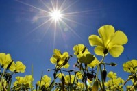 Za vikend toplo i sunčano, u ponedjeljak kiša i pljuskovi