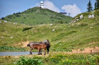 Olimpijski centar Jahorina u misiji oživljavanja grada Pale