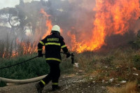 Požar u rejonu parka prirode Orjen, ugrožene dragocjene vrste šume