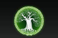 Келтски хороскоп: Пронађите своје дрво и сазнајте шта говори о вама