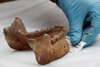 Пронађен вјероватно најстарији људски фосил на тлу Европе