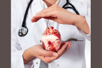 Обављене двије трансплатације срца свиња људима