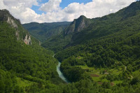 Подручје долине ријеке Таре проглашено заштићеним