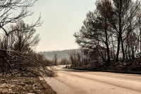 Situacija na požarištima kod Šibenika stabilna