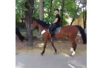 Коњица патролира бањалучким улицама VIDEO