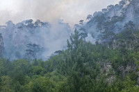 Na Boračkom do sada izgorjelo više od 20 hektara, helikopteri jedina prava pomoć
