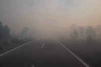 Велики шумски пожар у билећком селу Корита VIDEO
