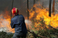 Шуловић за "Глас": Локализоваћемо и овај пожар ка селу Тепуре