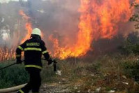 Vatra guta gustu šumu u Parku prirode Blidinje