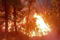 Трећи дан пожарa у Дракуљици, ватрогасци сумњају да је намјерно изазван