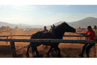 Коњи одмјерили снагу на "Штрапаријади" у Прекаји