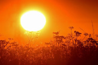 Naučnici proučavaju zašto su tako česti toplotni talasi