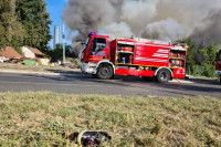 Požar na Novom Beogradu, gore barake i nisko rastinje