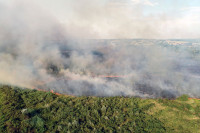 I dalje gori kod Trebinja - vatra zahvatila krš