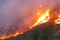 U Crnoj Gori već drugi dan gori šumski požar na granici sa BiH