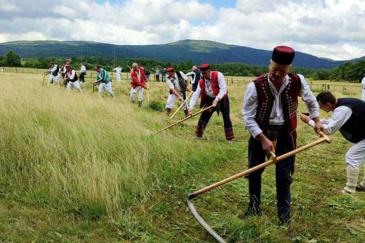 Словенац Оскар Макари освојио титулу најбољег косца