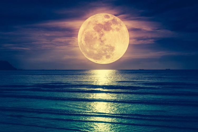 Ieri sera in Capricorno splendeva la luna piena, e per questi due segni zodiacali significa felicità assoluta