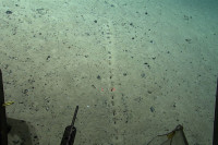Naučnici zbunjeni misterioznim rupama otkrivenim na dnu okeana