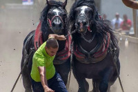 Коњички клуб „Соко сиви“ организује „Прву дервентску штрапаријаду“