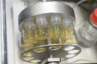 Bez jajne ćelije, sperme i materice – prvi put u istoriji uzgojeni sintetički embrioni