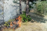 Пожар у Врбањи и даље гори: Мјештанин палио њиву па се ватра проширила