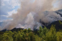 Vjetar rasplamsao požar na Bijeloj gori, vatra se približava kućama