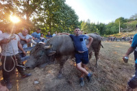 Bik Medonja pobjednik Grmečke koride