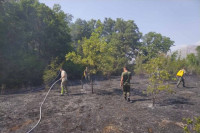 Lokalizovan požar u Popovom polju