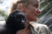 Резерват Сенда Верде дом за дивље животиње спашене од кријумчарења FOTO