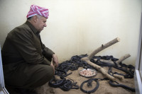 Ирачанин годинама у породичној кући узгаја 60 змија
