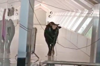 Разјарени бик утрчао у банку VIDEO