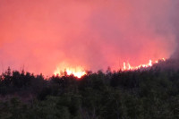 Požarna linija na Leotaru duga 300 metara