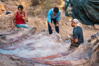 U svom dvorištu naišao na fosil najvećeg dinosaurusa ikada pronađenog u Evropi
