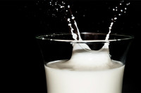 Dolazi doba sintetičkog mlijeka