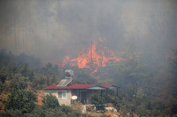 Шумски пожар у Мерсину у којем се гради нуклеарка