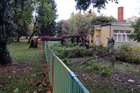 Nevrijeme u Gradišci i Kozarskoj Dubici: Vjetar obarao stabla i skidao krovove