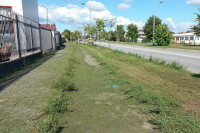 Pokošena trava ostavljena na biciklističkim stazama i po trotoarima
