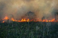 Ове године у бразилској Амазонији забиљежен већи број пожара него у цијелој 2021.