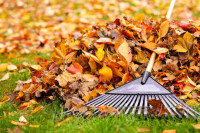Како почети компостирати лишће и зашто то требате стално радити