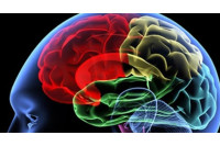 Naučnici snimali mozak čovjeka na samrti i došli do zapanjujućih otkrića