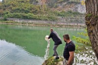 Drina poribljena pastrmkom i šaranom