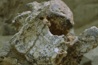 У Кини откривена људска лобања стара милион година