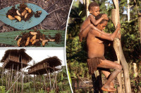 Короваи племе: Једини људи на свијету који живе у кућицама на дрвећу VIDEO