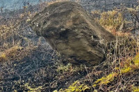 Пожар уништио камене главе на Ускршњем острву