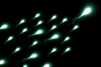 Да ли сте знали да сперматозоиди „памте“ догађаје из живота мушкарца, то може утицати на потомство