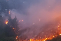 Na području Hercegovine milionska šteta od ovogodišnjih požara