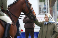 Краљ Чарлс Трећи продаје 14 коња краљице Елизабете Друге