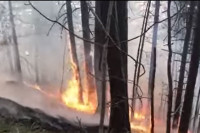 Gornji Vakuf-Uskoplje: Vatra guta borovu šumu, situacija alarmantna