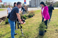 Почела јесења садња у Лазареву: Нови трг умјесто дивље депоније