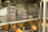 Prvi put u svijetu izvršena transfuzija krvi koja je napravljena u laboratoriji